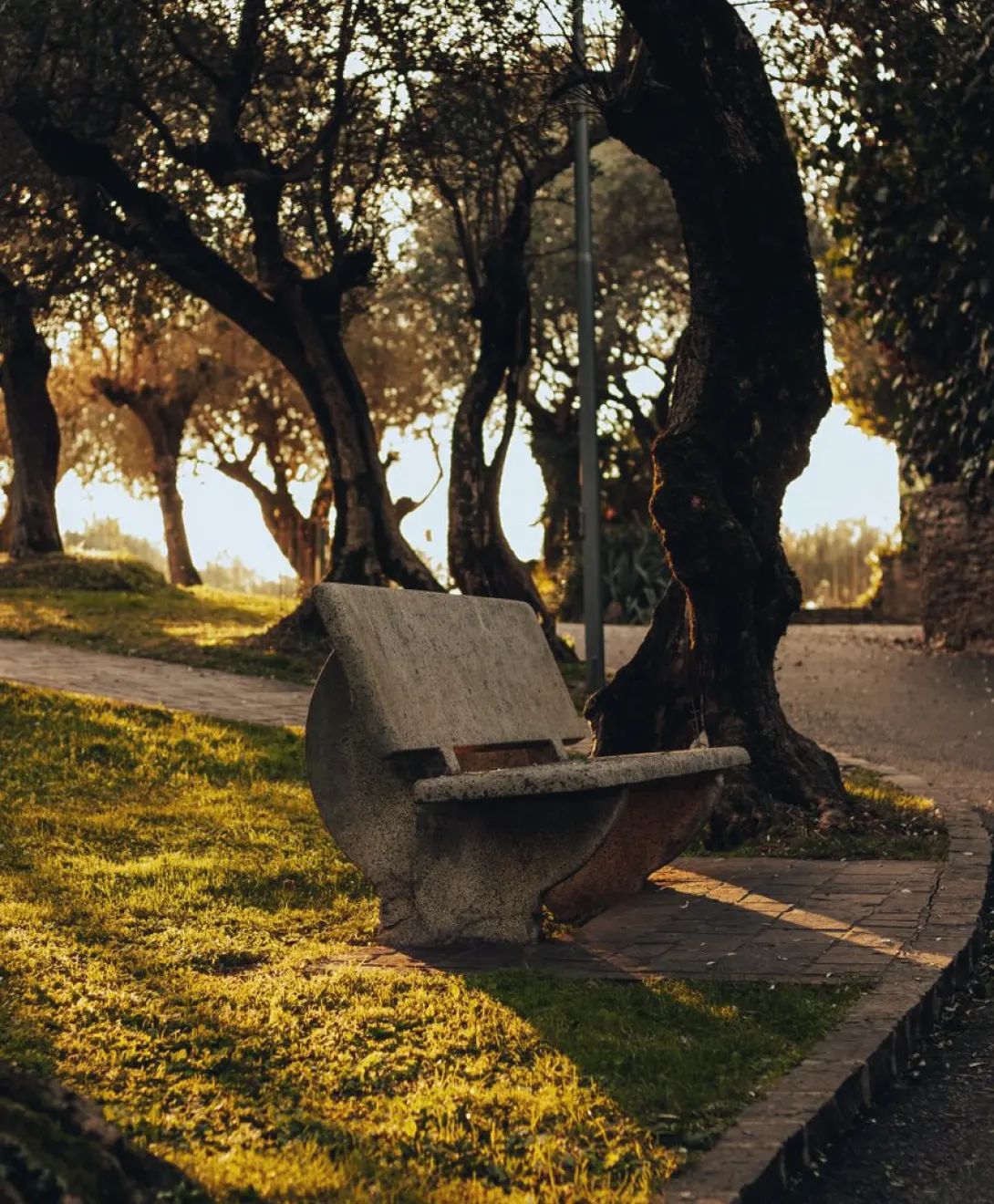 Mirador o plaza de barrio: cuál conviene para una tarde de primavera