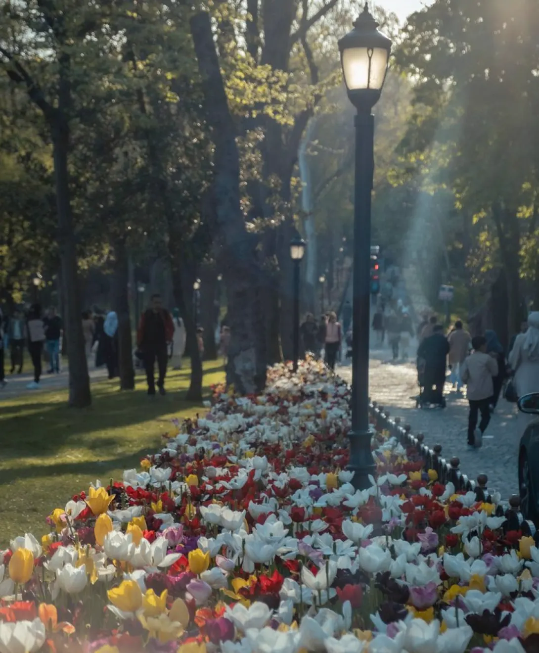 Panoramas para la primavera: qué planear en las próximas semanas